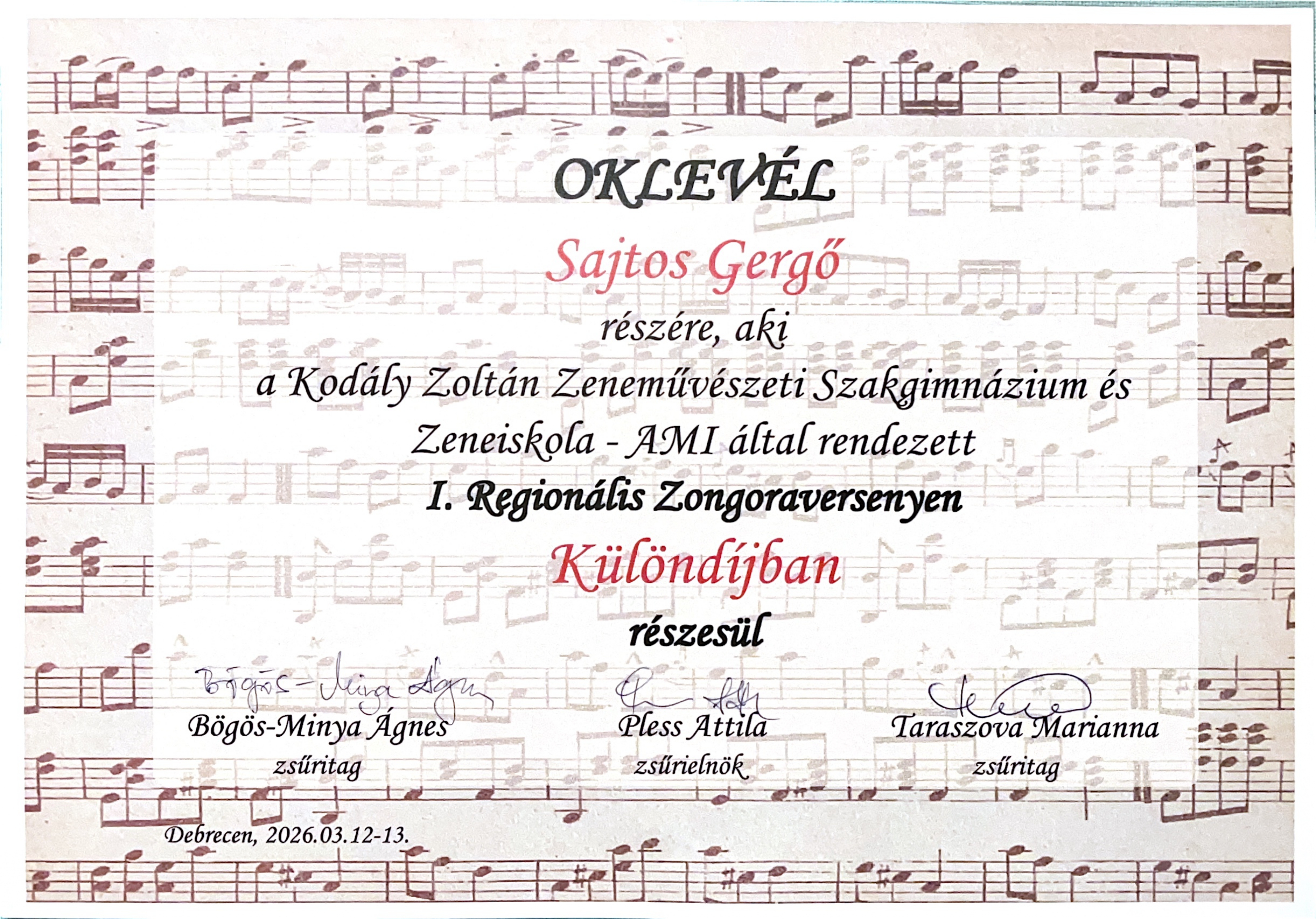 Sajtos Gergő különdíj